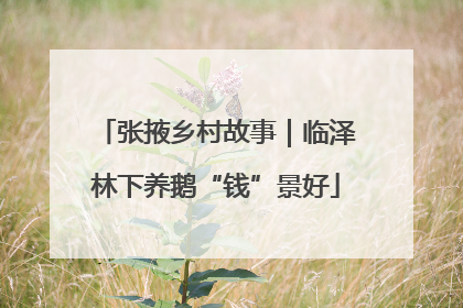 张掖乡村故事｜临泽林下养鹅“钱”景好