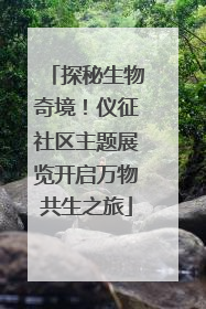 探秘生物奇境！仪征社区主题展览开启万物共生之旅