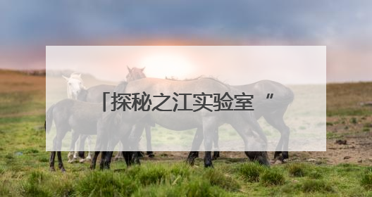 探秘之江实验室“三体计算星座”：展示国际协作生态