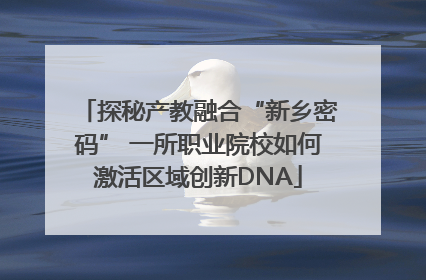 探秘产教融合“新乡密码” 一所职业院校如何激活区域创新DNA