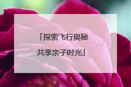 探索飞行奥秘 共享亲子时光