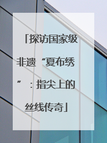 探访国家级非遗“夏布绣”：指尖上的丝线传奇