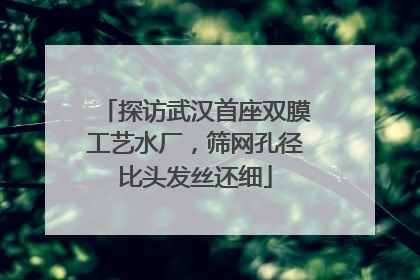 探访武汉首座双膜工艺水厂，筛网孔径比头发丝还细