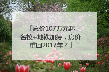 总价107万元起，名校+地铁加持，房价重回2017年？