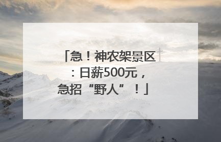 急！神农架景区：日薪500元，急招“野人”！