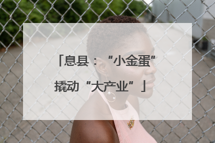 息县：“小金蛋”撬动“大产业”