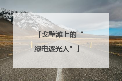 戈壁滩上的“绿电逐光人”