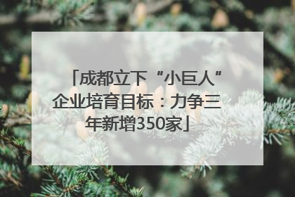 成都立下“小巨人”企业培育目标：力争三年新增350家
