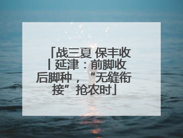战三夏 保丰收丨延津：前脚收 后脚种，“无缝衔接”抢农时