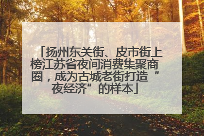 扬州东关街、皮市街上榜江苏省夜间消费集聚商圈，成为古城老街打造“夜经济”的样本