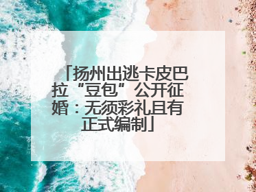 扬州出逃卡皮巴拉“豆包”公开征婚：无须彩礼且有正式编制