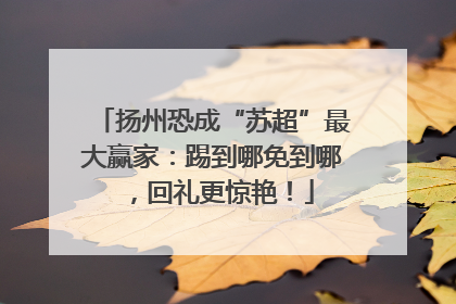 扬州恐成“苏超”最大赢家：踢到哪免到哪，回礼更惊艳！