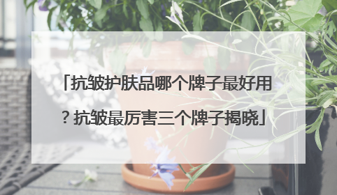 抗皱护肤品哪个牌子最好用？抗皱最厉害三个牌子揭晓
