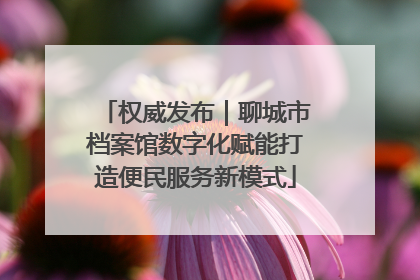 权威发布｜聊城市档案馆数字化赋能打造便民服务新模式