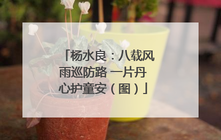 杨水良：八载风雨巡防路 一片丹心护童安（图）