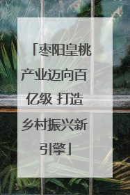 枣阳皇桃产业迈向百亿级 打造乡村振兴新引擎