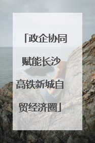 政企协同 赋能长沙高铁新城自贸经济圈