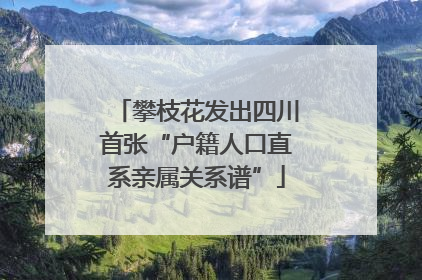 攀枝花发出四川首张“户籍人口直系亲属关系谱”