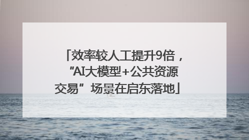效率较人工提升9倍，“AI大模型+公共资源交易”场景在启东落地
