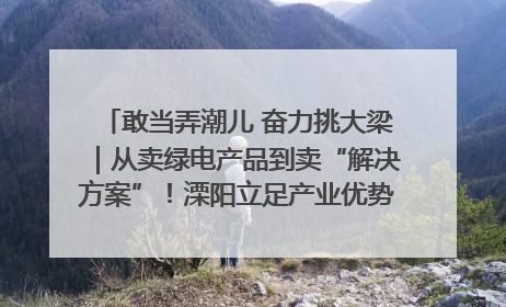 敢当弄潮儿 奋力挑大梁｜从卖绿电产品到卖“解决方案”！溧阳立足产业优势建成五大微电网示范项目