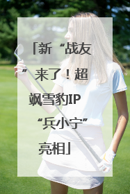新“战友”来了！超飒雪豹IP“兵小宁”亮相