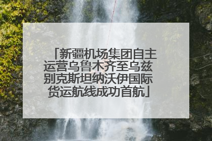 新疆机场集团自主运营乌鲁木齐至乌兹别克斯坦纳沃伊国际货运航线成功首航
