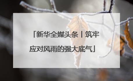新华全媒头条丨筑牢应对风雨的强大底气