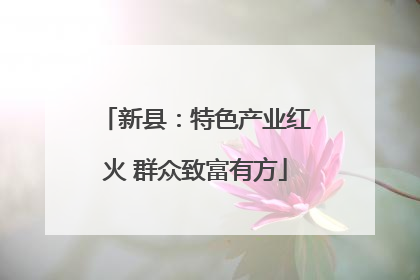 新县：特色产业红火 群众致富有方