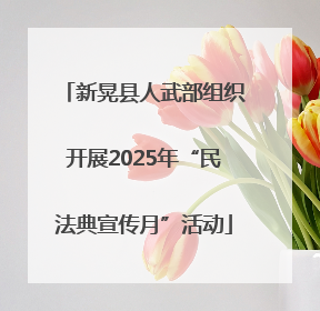 新晃县人武部组织开展2025年“民法典宣传月”活动