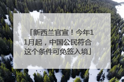 新西兰官宣！今年11月起，中国公民符合这个条件可免签入境