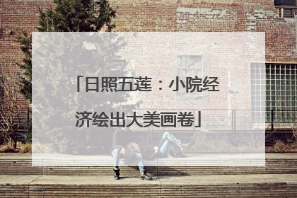 日照五莲：小院经济绘出大美画卷