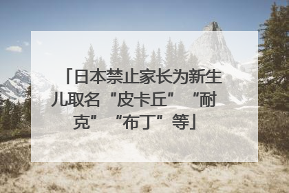 日本禁止家长为新生儿取名“皮卡丘”“耐克”“布丁”等
