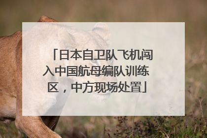 日本自卫队飞机闯入中国航母编队训练区，中方现场处置