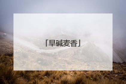 旱碱麦香