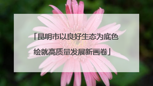 昆明市以良好生态为底色绘就高质量发展新画卷