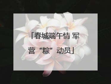 春城端午情 军营“粽”动员