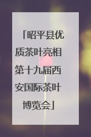 昭平县优质茶叶亮相第十九届西安国际茶叶博览会