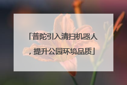 普陀引入清扫机器人，提升公园环境品质