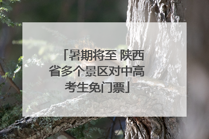 暑期将至 陕西省多个景区对中高考生免门票