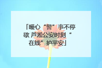 暖心“警”事不停歇 芦淞公安时刻“在线”护平安