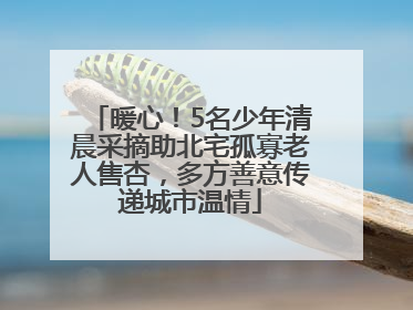 暖心！5名少年清晨采摘助北宅孤寡老人售杏，多方善意传递城市温情