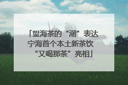 望海茶的“潮”表达 宁海首个本土新茶饮“又喝那茶”亮相