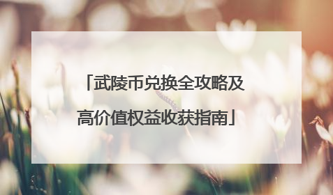 武陵币兑换全攻略及高价值权益收获指南