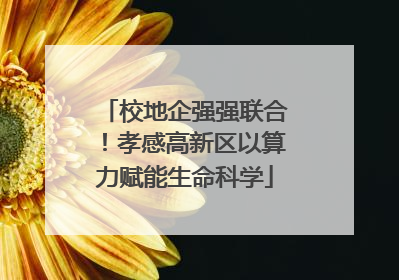 校地企强强联合！孝感高新区以算力赋能生命科学