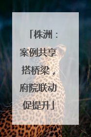 株洲：案例共享搭桥梁，府院联动促提升