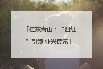桂东青山：“四红”引领 业兴民富