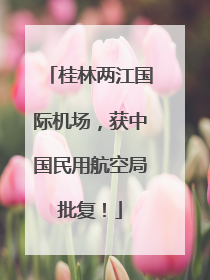 桂林两江国际机场，获中国民用航空局批复！
