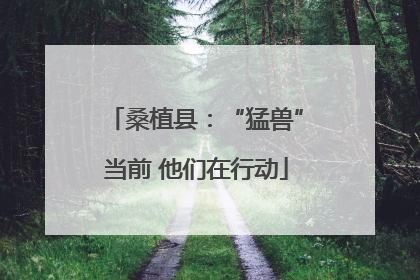 桑植县：“猛兽”当前 他们在行动