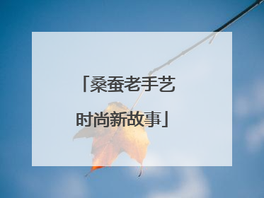 桑蚕老手艺 时尚新故事