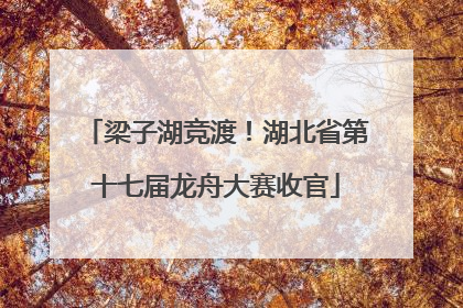 梁子湖竞渡！湖北省第十七届龙舟大赛收官